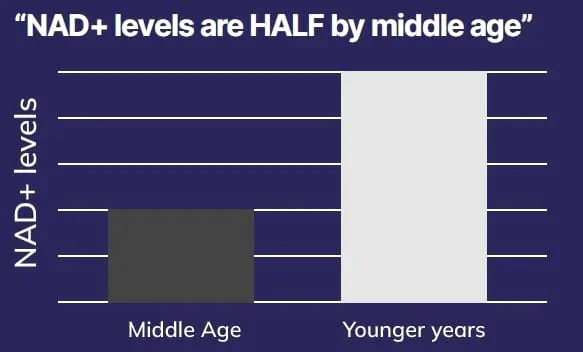 NAD levels by age