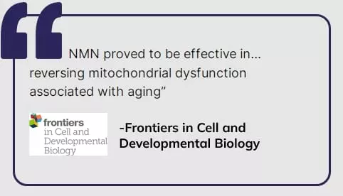 nmn frontiers and cell journal